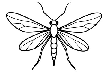 Mayfly Vector Illustration