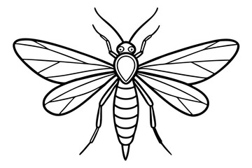 Mayfly Vector Illustration