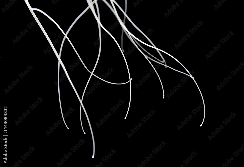 Poster abstract white lines, elegant flow. minimalist design on black, creating movement. light filaments a