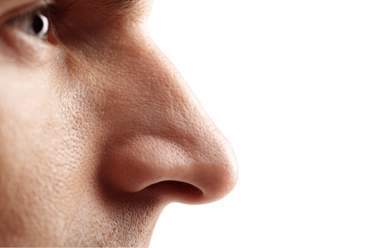 Closeup male nose on transparent background skin