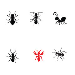 Vector Illustration Featuring a Variety of Ant Species.