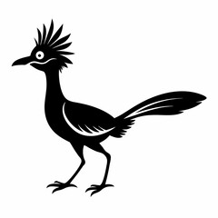 Fototapeta premium Black Silhouette Roadrunner Icon