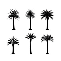 Fototapeta premium Six stylized palm tree illustrations are arranged in two rows, each with unique leaf patterns. trees are depicted in simple, monochromatic style, highlighting their distinct shapes