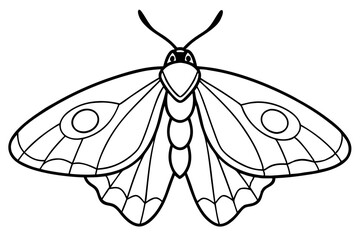 Opal Wings Illustration