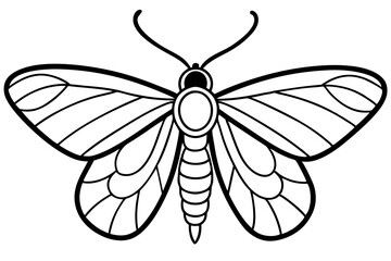 Opal Wings Illustration