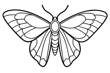 Opal Wings Illustration