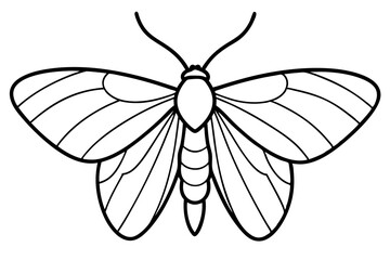 Opal Wings Illustration