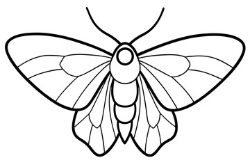 Opal Wings Illustration