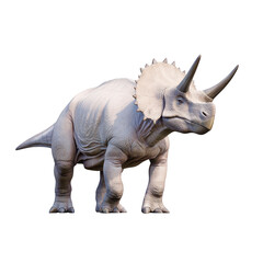 Fototapeta premium Realistic 3D rendering of triceratops dinosaur, showcasing its distinctive three horns and frilled neck. dinosaur is depicted in neutral pose, highlighting its textured skin and robust build