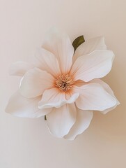 Obraz premium Close-up of a large, white flower with a yellow center. the flower has multiple layers of petals that are arranged in a symmetrical pattern, creating a sense of depth and dimension.