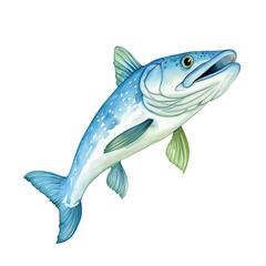 Fototapeta premium Vibrant Isolated Illustration of a Pike Fish with Detailed Features and Vibrant Colors