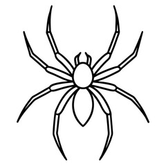 Obraz premium Clean Line Art Wolf Spider Vector