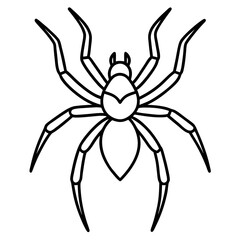 Clean Line Art Wolf Spider Vector