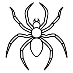 Clean Line Art Wolf Spider Vector