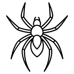 Clean Line Art Wolf Spider Vector