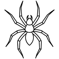 Clean Line Art Wolf Spider Vector
