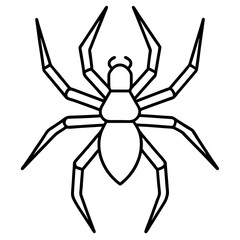 Clean Line Art Wolf Spider Vector