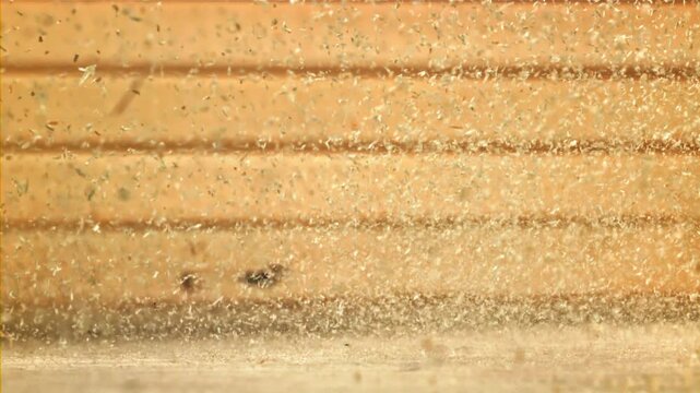 Wood sawdust on the carpenter's desktop. Filmed on a high-speed camera at 1000 fps. High quality FullHD footage