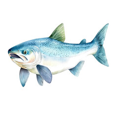 Fototapeta premium Isolated Steelhead Fish Illustration in Vibrant Colors for Natural History and Science Subjects