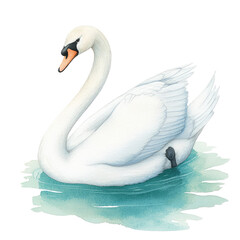 Fototapeta premium Elegant Isolated Swan Gracefully Gliding on Crystal Clear Water Surface in Serene Natural Setting