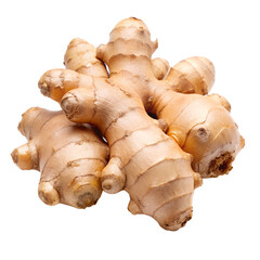 ginger root isolated on white background