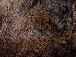Red Brown Animal Wildlife fur hair textured Concept Background.