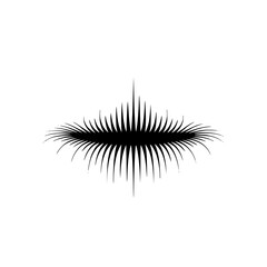 Abstract Graphic: Sunburst, Feathered Shape, Black and White, Minimalist Design