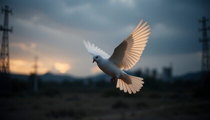Obraz premium Dove in Flight Against Cloudy Sky at Dusk