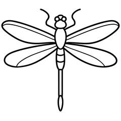 Elegant One-Line Dragonfly Vector