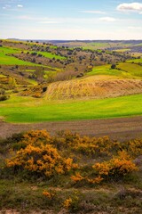 Obraz premium Tierras y campos de cultivo en la provincia de Guadalajara, España.