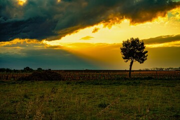 Un atardecer nublado en un campo 