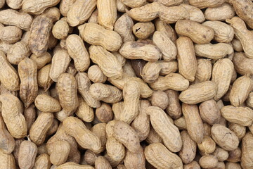 Pile of Fresh Organic Raw Peanuts in Shells Full Textured Background