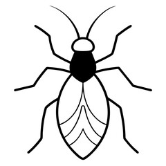 Fine-Line Aphid Illustration