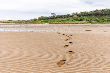 Footprints Leading Across Sandy Beach