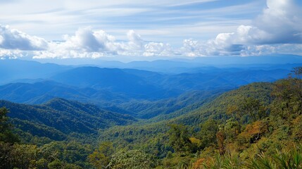 Obraz premium Breathtaking mountain landscape national park photography lush greenery aerial view nature's majesty