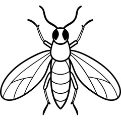 Minimalist Firefly Vector Line Art