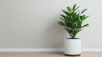 Modern living room with one large statement plant in a sleek pot, minimalist indoor garden style