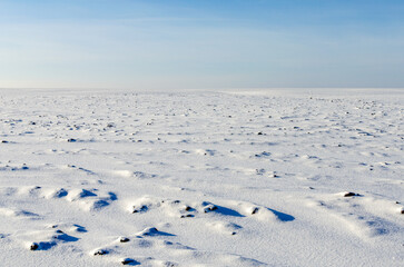 A vast plowed field stretches to the horizon, covered with fresh snow glistening in the sunlight. The sky is completely clear, creating a serene and open winter landscape symbolizing calm, stillness, 