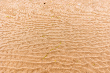 Sandy Beach Texture with Natural Ripple Patterns