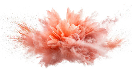 Spectacular explosion of a pink flower, burst of color and motion in midair pink