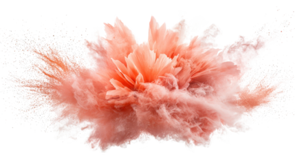 Spectacular explosion of a pink flower, burst of color and motion in midair pink