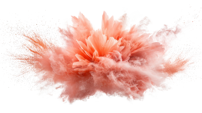 Spectacular explosion of a pink flower, burst of color and motion in midair pink
