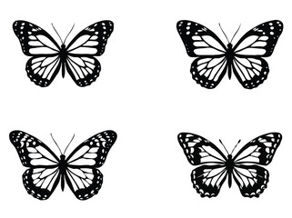 Obraz premium Set of butterfly silhouette