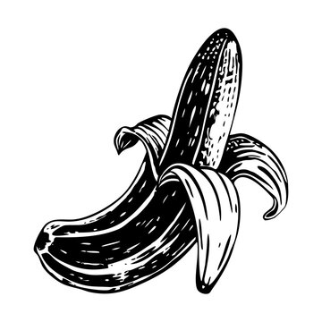 A banana illustration in vintage style