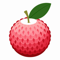 Vector illustration of lychee