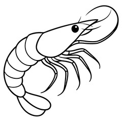 Single Line Shrimp Vector Illustration
