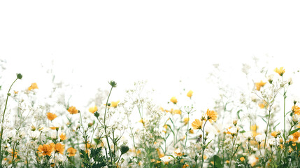 Fototapeta premium Vibrant wildflowers blooming open field nature photography bright environment close-up view floral beauty