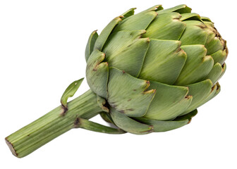 Single Fresh Artichoke with Stem Isolated on Black Background Ready for Cooking or Recipe