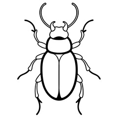Simple Dung Beetle Line Art Illustration