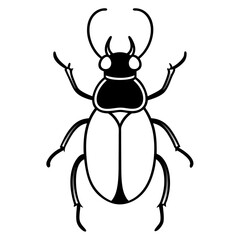 Simple Dung Beetle Line Art Illustration